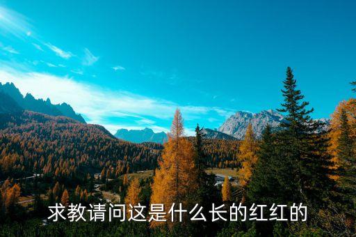 楊定平是什么的會長，誰知道華東交大大二的軟件工程部長也許叫會長是誰叫什么名字