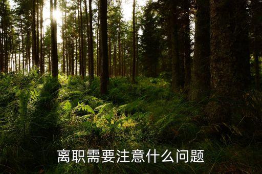 華北制藥辭職需要注意什么，辭職應(yīng)該注意些什么呢