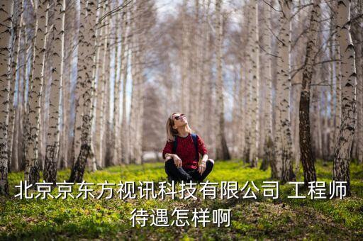 京東方視迅是什么公司，北京京東方視訊科技有限公司 工程師待遇怎樣啊