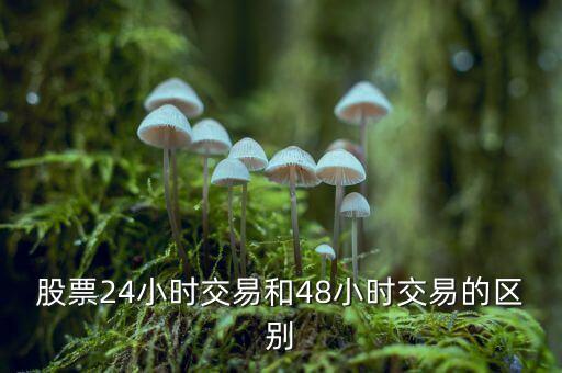 24小時(shí)交易是什么意思，股票24小時(shí)交易和48小時(shí)交易的區(qū)別