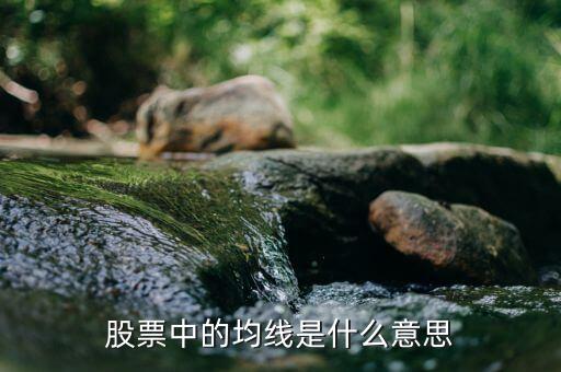 股票中閏線是什么意思，股票MACD線是什么意思
