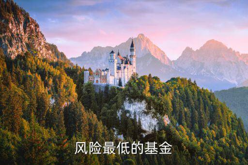 什么基金風(fēng)險(xiǎn)最低，風(fēng)險(xiǎn)最低的基金