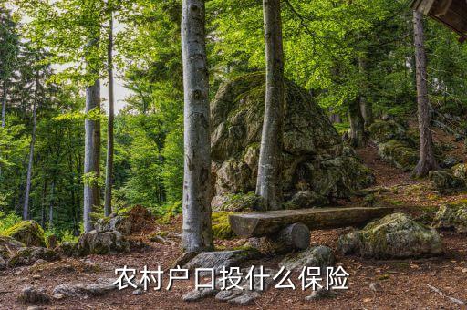 農(nóng)村買的保險(xiǎn)是什么保險(xiǎn)，農(nóng)民需要買什么保險(xiǎn)