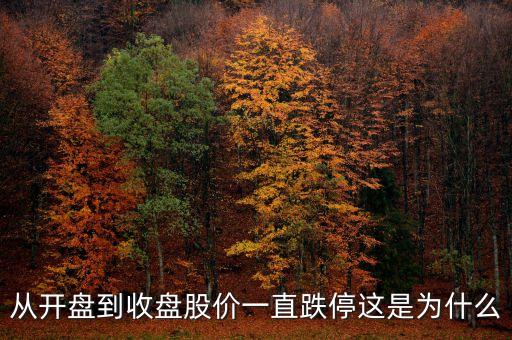 為什么開盤就跌停，從開盤到收盤股價一直跌停這是為什么
