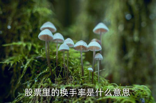 股票中換手率什么意思，股票里面的換手率是什么意思