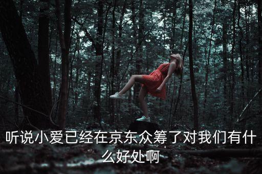京東jimi機(jī)器人有什么作用，jimi 是什么意思
