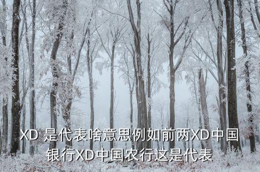 農(nóng)行中證代表什么，XD 是代表啥意思例如前兩XD中國銀行XD中國農(nóng)行這是代表