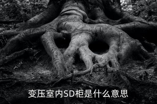 授軍旗為什么在室內(nèi)，變壓室內(nèi)SD柜是什么意思