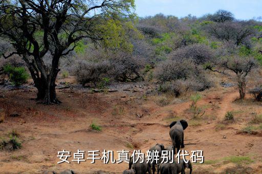 三星夢(mèng)想課堂是什么，權(quán)相宇的檔案資料