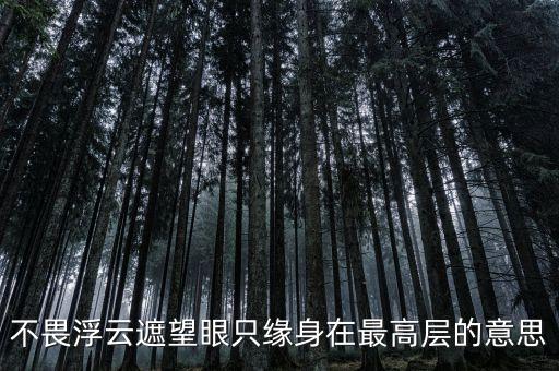 不畏浮云遮望眼什么意思，不畏浮云遮望眼 只緣身在最高層是什么意思