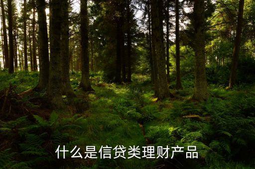 什么是信貸類理財產品