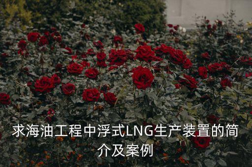 什么是浮式lng項目，什么是浮式LNG