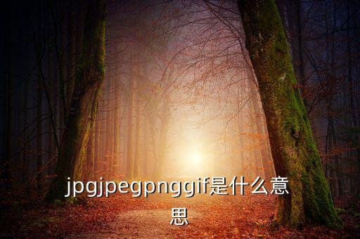 什么是代價比率，JPG文件會有病毒嗎