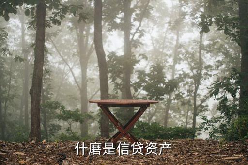 什么是類信貸資產(chǎn)，貸款類資產(chǎn)包括哪些
