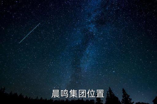 壽光造紙廢固是什么，晨鳴集團位置