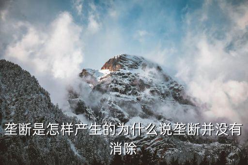 什么是壟斷，壟斷是怎樣產(chǎn)生的為什么說壟斷并沒有消除