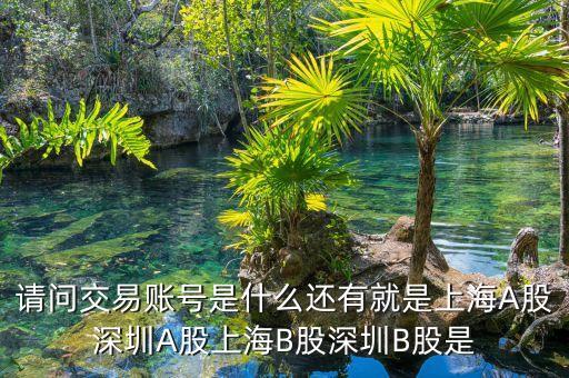 股東賬號是什么，請問交易賬號是什么還有就是上海A股深圳A股上海B股深圳B股是