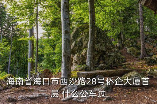 海南公務(wù)車什么號段，誰知道海南41 11月20日開的什么號碼