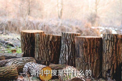 中搜幣是什么，聚寶盆里的中搜幣的兌換比率及限額是多少
