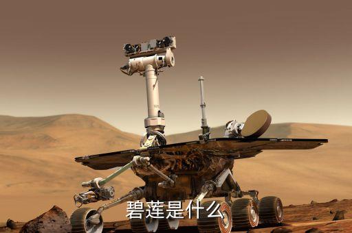 碧蓮經濟產業(yè)是什么，武漢的主要產業(yè)是什么 武漢的經濟消費水平是什么樣的 詳細點 分析一