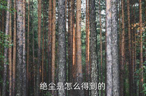 為什么絕塵貴，怎么弄到絕塵