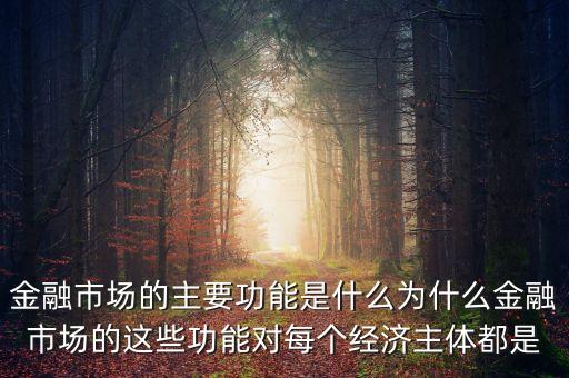 金融市場的主要功能是什么為什么金融市場的這些功能對每個經(jīng)濟(jì)主體都是