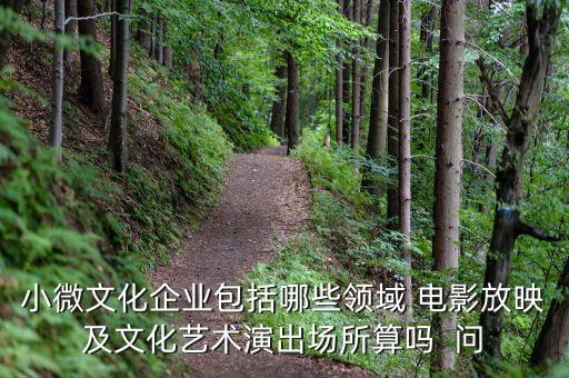 小微文化企業(yè)具體指什么，小微文化企業(yè)包括哪些領(lǐng)域 電影放映及文化藝術(shù)演出場所算嗎  問
