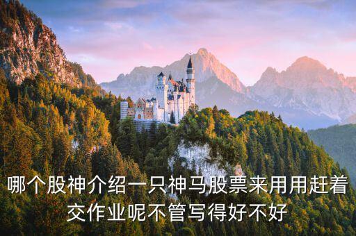 神馬股票是什么，哪個(gè)股神介紹一只神馬股票來用用趕著交作業(yè)呢不管寫得好不好