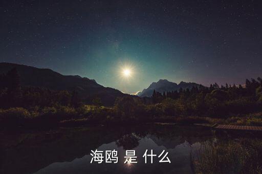 海鷗和石墨是什么關(guān)系，MAURICE BLUM品牌和海鷗有什么關(guān)系