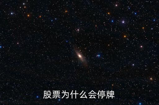 002163為什么停牌，股票為什么會停牌