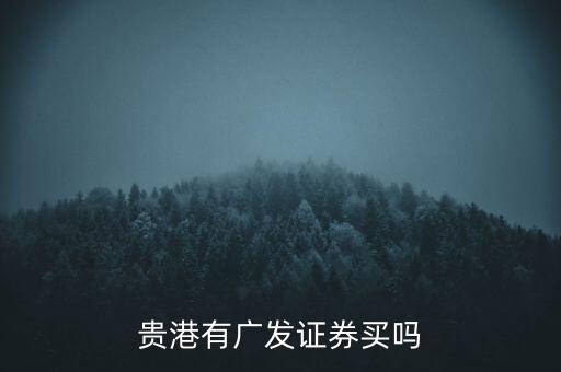 貴港有廣發(fā)證券買(mǎi)嗎