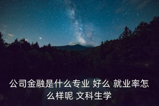 什么叫公司金融，公司金融是什么專業(yè) 好么 就業(yè)率怎么樣呢 文科生學(xué)