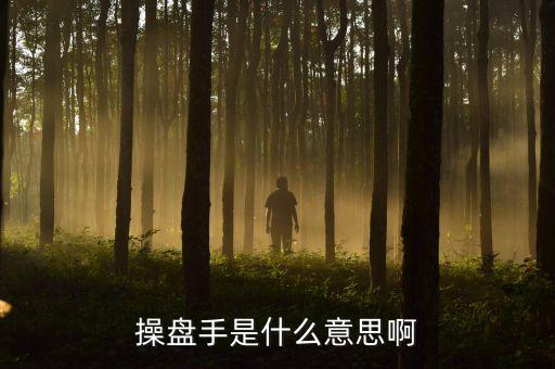 股票里操盤手聯(lián)盟是什么意思，有哪位高人可以給我詳細(xì)解釋下操盤手是什么意思