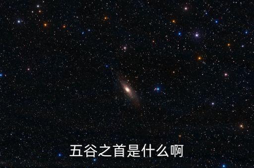 中糧是中國(guó)什么之首，中糧集團(tuán)