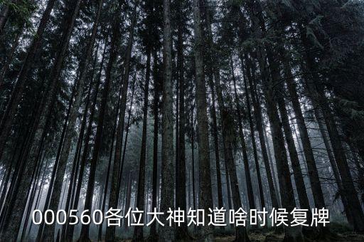 棟梁新材什么時候復(fù)牌，000560各位大神知道啥時候復(fù)牌