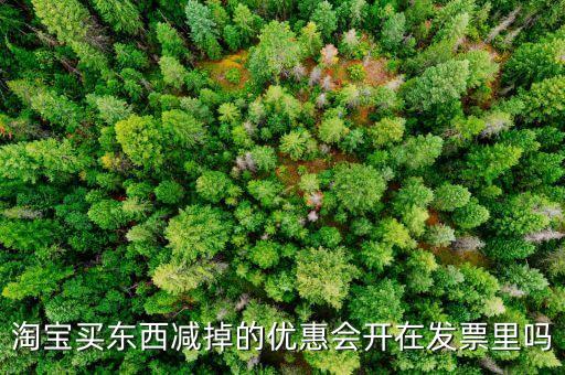 網(wǎng)店為什么貨票不同行，為什么網(wǎng)店賣的東西不能和發(fā)票一同送來