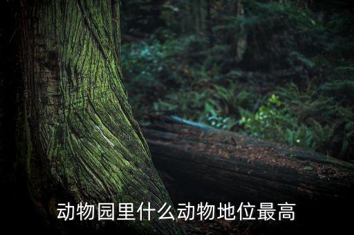 動物園什么動物人氣最高，動物園什么動物地位最高