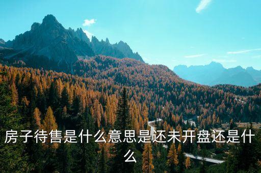 待售房是什么意思，房子待售是什么意思是還未開盤還是什么