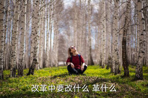 你認(rèn)為我國改革的重心應(yīng)是什么改，我國改革的任務(wù)決定了改革應(yīng)是 A 經(jīng)濟(jì)體制的改革 B 政治體制的改革