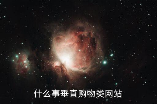 什么是垂直商城，o2o垂直商城是什么