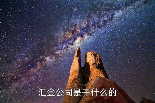 深圳惠程為什么匯金進駐，匯金公司是怎么回事