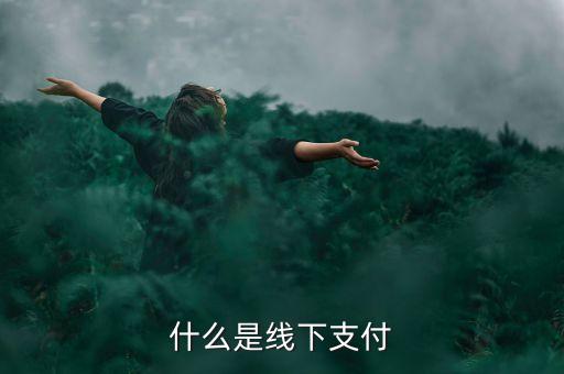 什么是線上線下支付，什么是線下支付