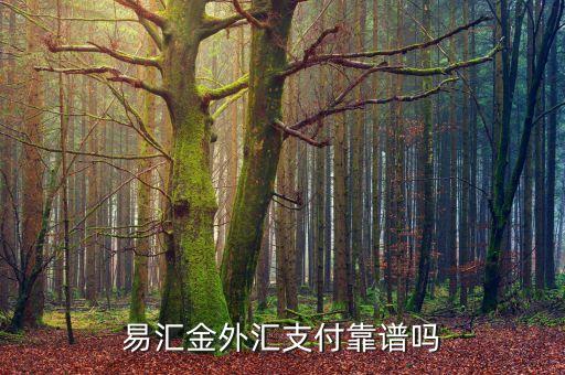 易匯金出是什么，易匯金外匯支付靠譜嗎