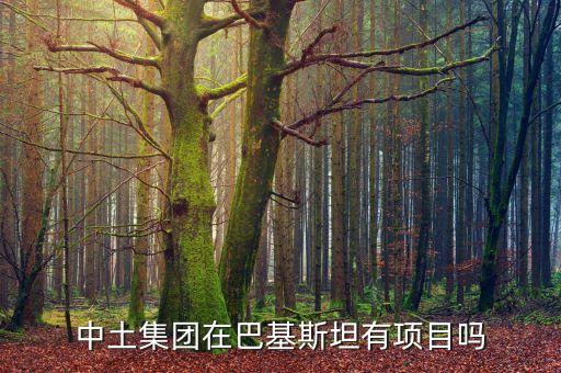 中土公司在吉布提什么工程，中建港務建設(shè)有限公司是不是接了吉布提的工程