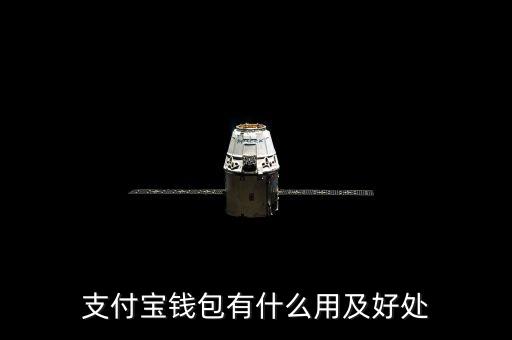 支付寶錢包都能干什么，支付寶錢包是做什么的