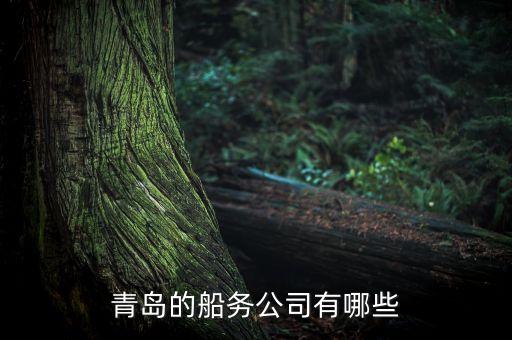 青島有個什么船運走私，青島的船務(wù)公司有哪些