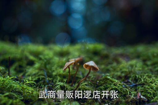 老河口武商什么開業(yè)，武商量販十堰店是什么時候開業(yè)的
