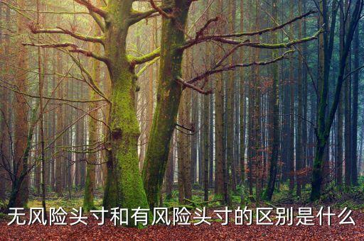 市場風險頭寸是什么，什么是可抵消市場風險頭寸