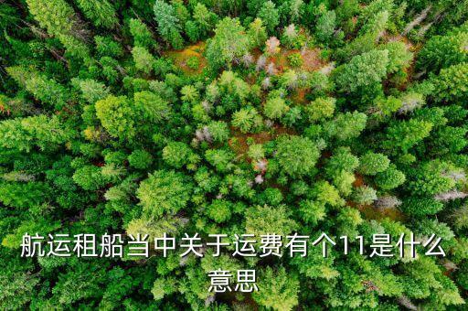 航運租船當(dāng)中關(guān)于運費有個11是什么意思