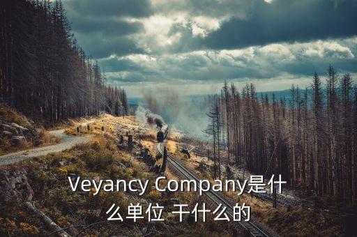 時代沃頓科技有限公司是什么單位，Veyancy Company是什么單位 干什么的